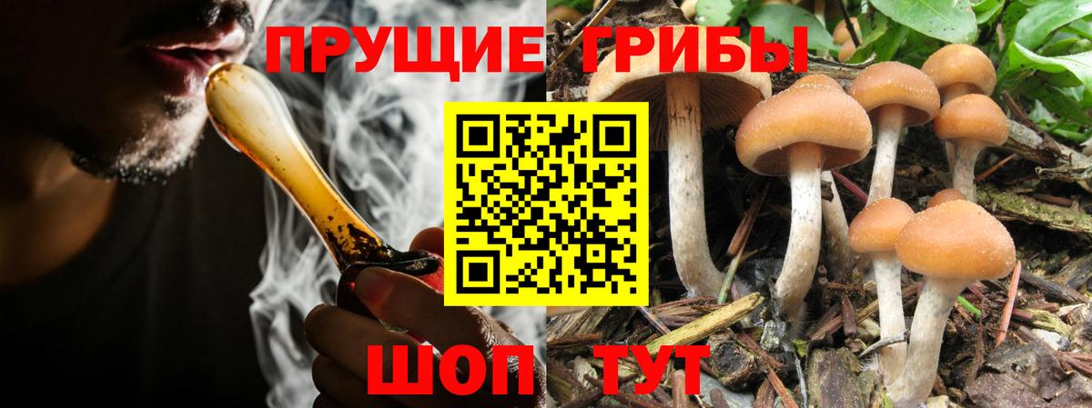 Калач-на-Дону  Галлюциногенные грибы мицелий  Вход с VPN 